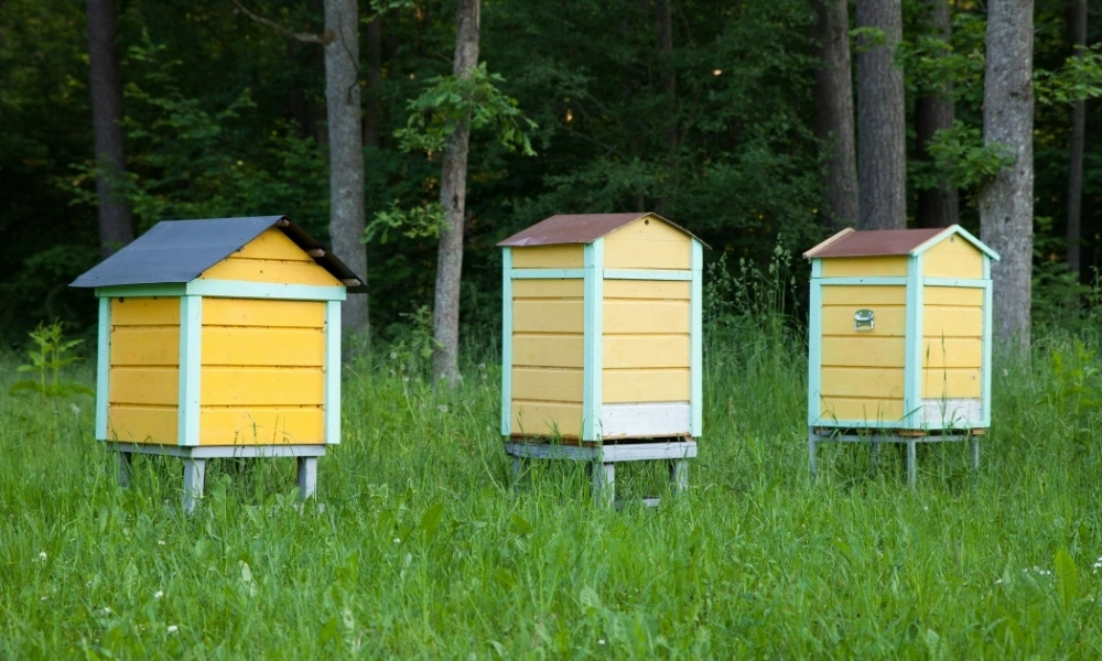 mieszanie pokarmów pszczelich